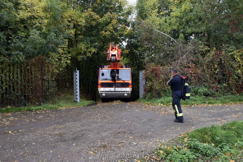 Einsatz BF Koeln PKW im See Koeln Esch P254.JPG - Miklos Laubert